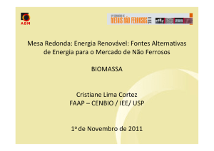 Mesa Redonda: Energia Renovável: Fontes Alternativas de