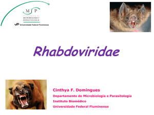 Família: Rhabdoviridae