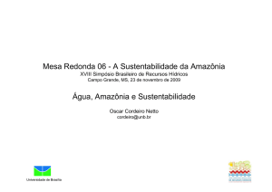 Mesa Redonda 06 - A Sustentabilidade da Amazônia Água