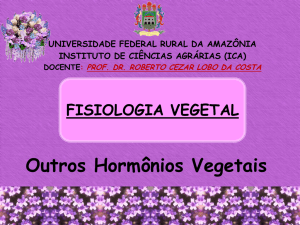 Outros Hormônios Vegetais - Roberto Cezar | Fisiologista Vegetal