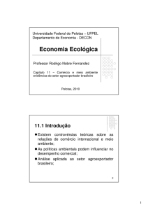 Capítulo 11 - Prof. Rodrigo Nobre Fernandez
