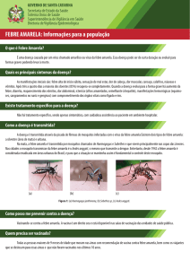 FEBRE AMARELA: Informações para a população