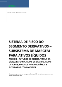 sistema de risco do segmento derivativos