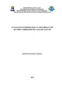 avaliação ecofisiológica e metabólica de quatro
