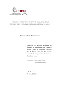 ANÁLISE DA DISTRIBUIÇÃO DE ZINCO EM CÉLULAS TUMORAIS