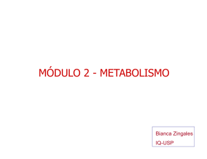 Introdução ao Metabolismo - IQ-USP