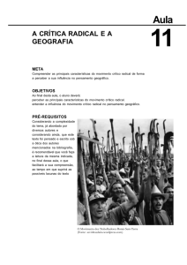 a crítica radical e a geografia