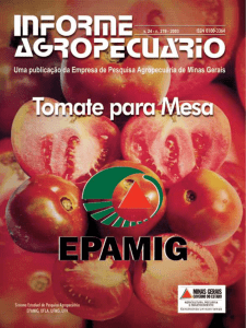Informe Agropecuário nº219 - Tomate para mesahot!