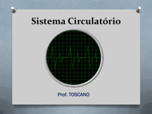 2. sistema_circulatorio