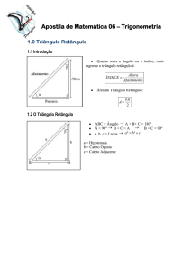 Apostila de Matemática 06 – Trigonometria
