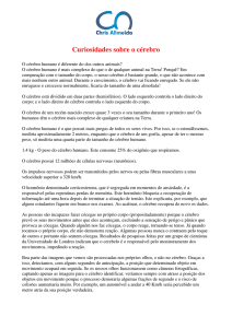 Curiosidades sobre o cérebro