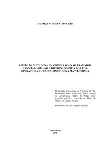 DissertaÃ§Ã£o TNG 2015