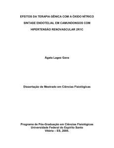 EFEITOS DA TERAPIA GÊNICA COM A ÓXIDO NÍTRICO SINTASE