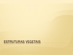 estruturas vegetais