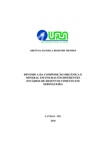 dinâmica da composição orgânica e mineral em folhas em