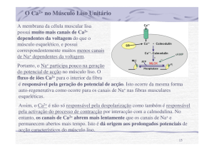 AULA 6 Músculo Liso Biofísica Molecular 2012 - Moodle
