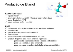 Produção de Etanol - Escola de Química / UFRJ