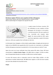 Rio Branco registra 74% dos casos suspeitos de febre chikungunya