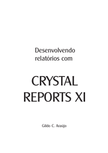 CRYSTAL REPORTS XI