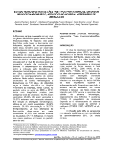 Imprimir artigo - Portal de Revistas em Veterinária e Zootecnia