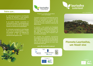 Triptico Laurissilva - Uma floresta, um futuro