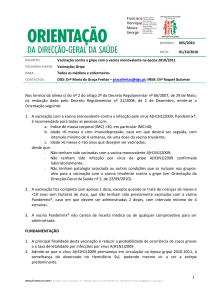 Vacinação contra a gripe com a vacina monovalente na época 2010