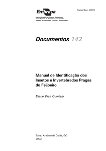 Manual de Identificação dos Insetos e