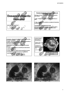 2Desenvolvimento Humano, MED1-ADAPTA    O-EMBRIO-MORFO