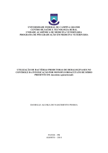 PDF da dissertaçã