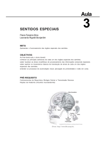 Fisiologia BÃ¡sica.pmd