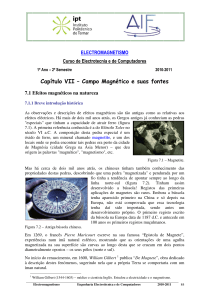 Capítulo VII – Campo Magnético e suas fontes