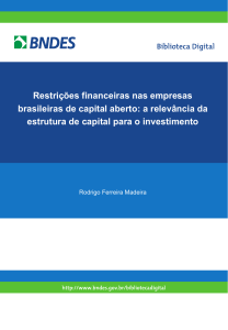 Restrições financeiras nas empresas brasileiras de capital aberto: a