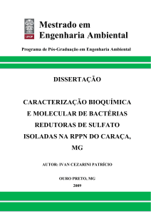 Mestrado em Engenharia Ambiental