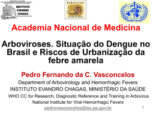 Arboviroses. Situação do Dengue no Brasil e Riscos de