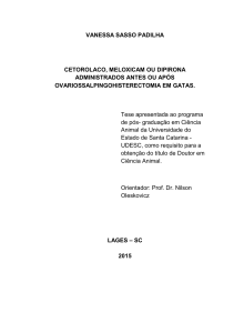 Cetorolaco, meloxicam ou dipirona administrados antes ou após