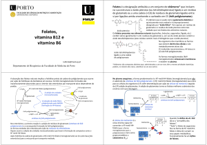 Folatos, vitamina B12 e vitamina B6