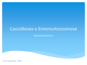 Coccidioses Intestinais e Enterocitozoonose