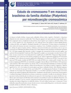 Estudo do cromossomo Y em macacos brasileiros da família Atelidae