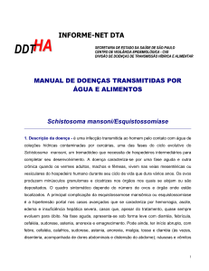 informe-net dta - Secretaria de Estado da Saúde de São Paulo