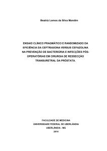 Beatriz Lemos da Silva Mandim ENSAIO CLÍNICO PRAGMÁTICO E