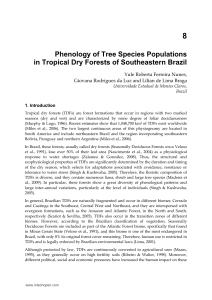 Phenology of Tree Species Populations in Tropical