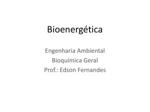 Bioenergética