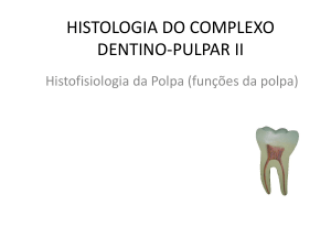 histologia do complexo dentino-pulpar