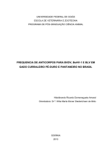 FREQUENCIA DE ANTICORPOS PARA BVDV - evz - ppgca