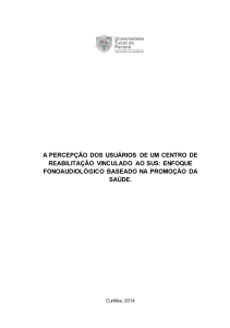 A PERCEPCAO DOS USUARIOS
