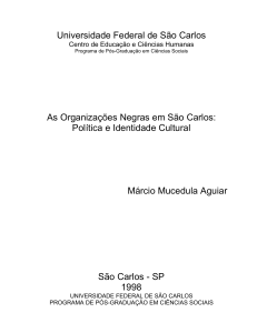 Universidade Federal de São Carlos As Organizações Negras em