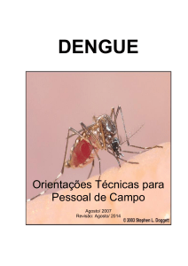 dengue