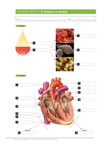 ESQUEMA MUDO 6 O sangue e o coração