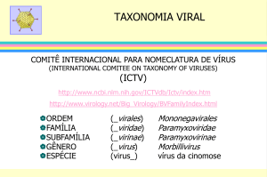 Composição química dos vírus Ácido nucléico - IPTSP