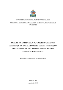 1 – introdução/justificativa - BDTD